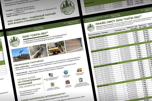 Коммерческое предложение / Визуальное оформление для бизнеса