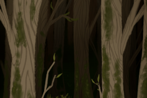 Мои рисунки