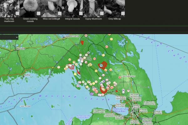 Разработка личного кабинета пользователя для международного проекта WildTracks.pro — платформы для охотников, рыболовов и собирателей с интерактивной картой и социальными функциями