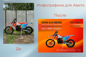 Инфографика для Авито