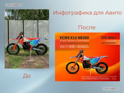 Инфографика для Авито