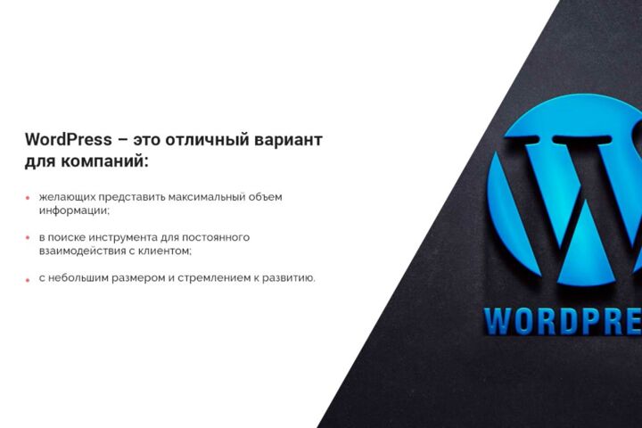 Создам быстрый и красивый сайт под ключ на Tilda или WordPress