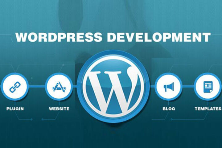 Создам быстрый и красивый сайт под ключ на Tilda или WordPress