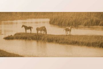 Сведение и мастеринг трека