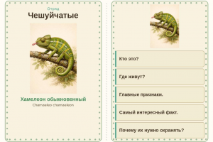 Дидактические карточки для урока биологии «Многообразие пресмыкающихся и млекопитающих», 7 класс