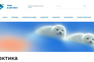 Главный редактор сетевого медиа GoAnrctic