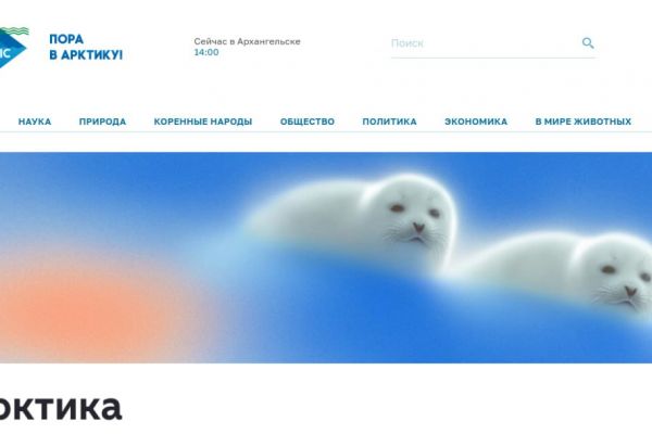 Главный редактор сетевого медиа GoAnrctic