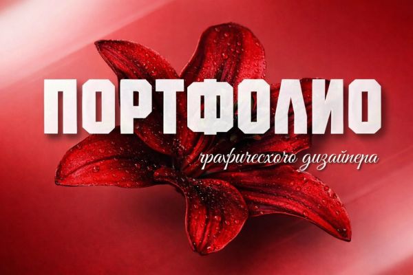 Портфолио