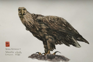 работа акварелью для историко-художественного музея