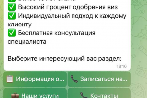 Собрала бот для оставления заявок визовому туристическому центру СтартМир.
