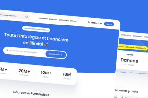 Реестр компаний Docubiz.fr (B2B сервис )