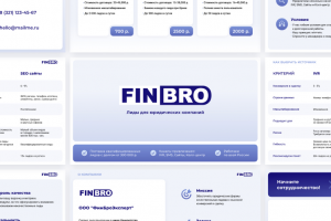 Презентация FINBRO