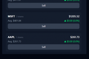 Инвестиционный портфель