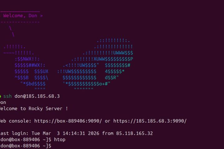Деплой Telegram-бота и PHP-проекта под ключ (VPS, SSL, БД)