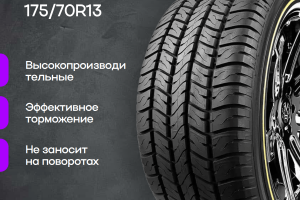 Карточка для Шины