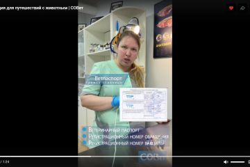 Короткие вертикальные ролики на ветеринарную тематику (производственная практика)