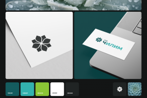 Логотип «Чилим»