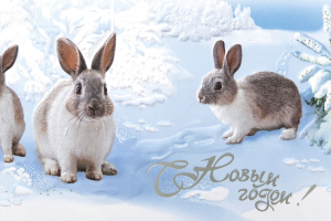 Кролики в зимнем лесу