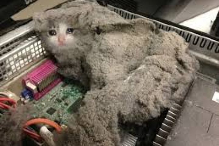 Настройка ПК и установка драйверов «под ключ»