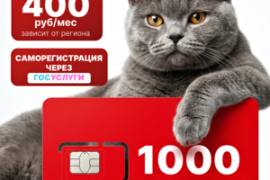 Креативная инфографика для маркетплейсов
