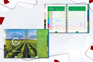 Дизайн и вёрстка каталога средств защиты растений