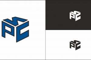 Логотип РСИ