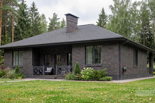 Комплексная визуализация кирпичного дома: летние и зимние виды + атмосферные кадры + детали + планировка с мебелью для застройщика