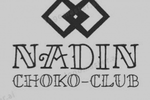 Логотип и брендбук для компании NADIN CHOKO-CLUB