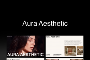 Презентация Aura Aesthetic