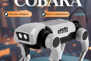 Инфографика для робота собаки