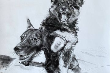 Портреты питомцев