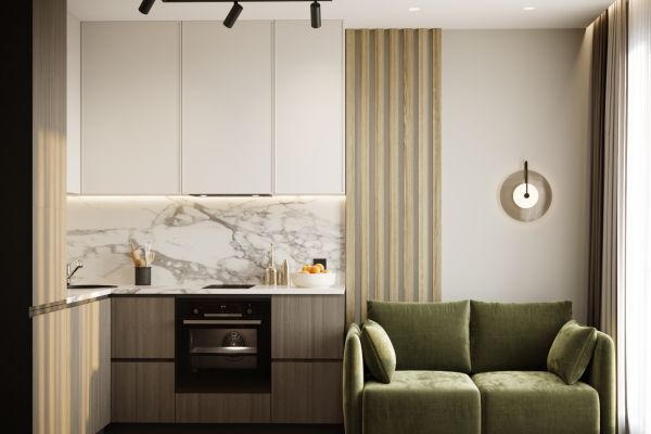 Кухня-гостиная