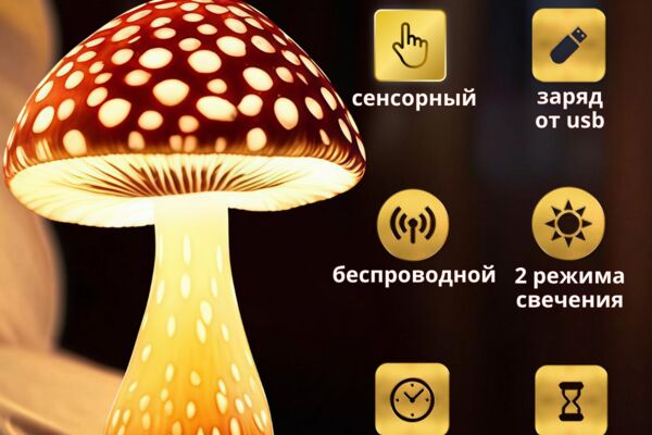 НОЧНИК.png