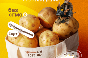 Карточка товара для картофеля.