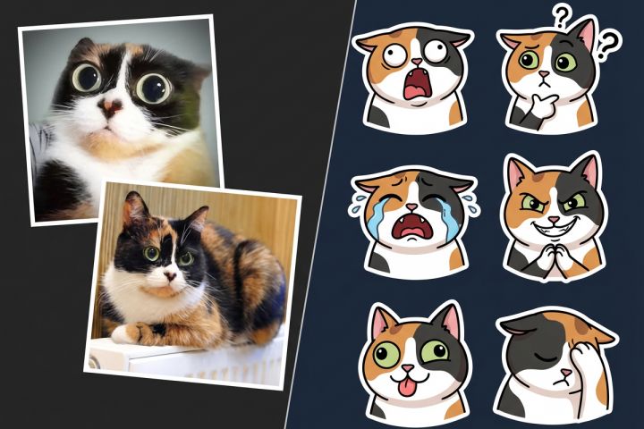 Сделаю Telegram стикеры из ваших фото , AI + ручная доработка - 5693199