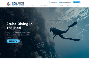 Верстка сайта