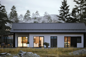 Визуализация частного дома