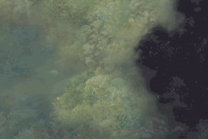 Оживающие картины для интерьера