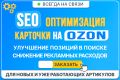 SEO-оптимизация карточки под ключ для маркетплейсов Озон и ВБ