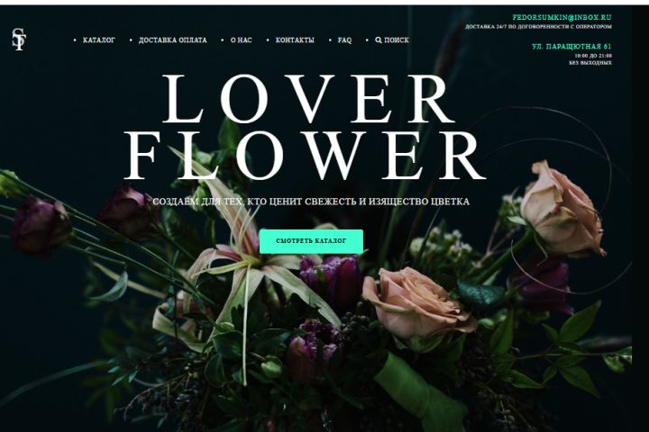 Веб разработка - 5697370