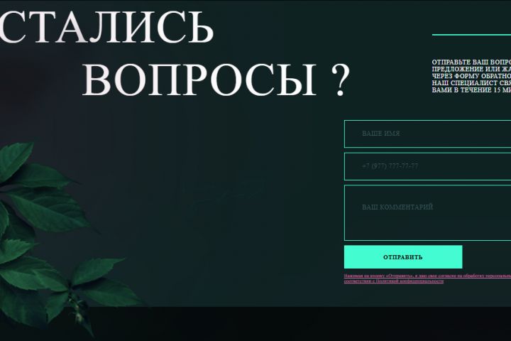 Веб разработка - 5697371