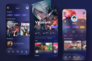 Разработка приложения для игр