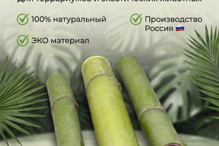 Создаю AI-фотосессии, ИИ-визуал для карточек WB / Ozon - 5699071