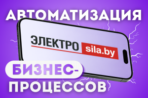 Разработка сложных бизнес-процессов на базе конструктора бизнес-процессов Битрикс24 для крупной сети магазинов "Электросила"