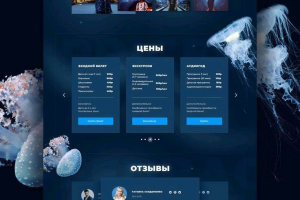 Разработка дизайна сайта для дильфинария