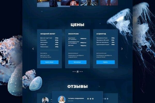 Разработка дизайна сайта для дильфинария