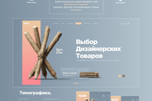 Разработка дизайна сайта для товаров дизайнеров
