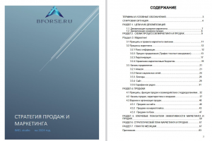 Стратегия продаж и маркетинга