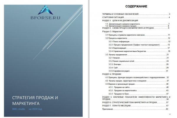 Стратегия продаж и маркетинга