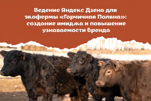 Ведение Яндекс Дзена для экофермы «Горчичная Поляна»: создание имиджа и повышение узнаваемости бренда